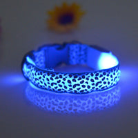Pet Dogs Collar Safety LED Flash Light Collars Dog Leopard Collar Neck Strap